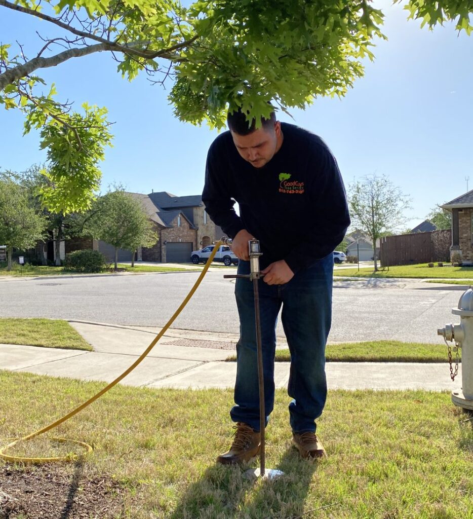 Good Guys Tree Service Tree Trimming Austin Tx 