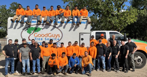 Good Guys Tree Service - Tree Trimming Austin TX