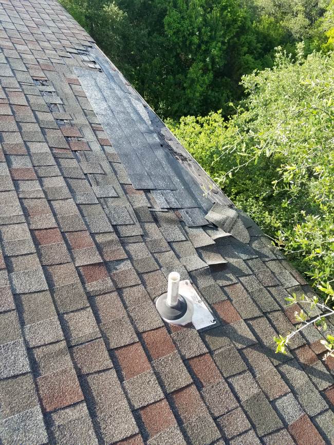 Roofline Tree Trimming